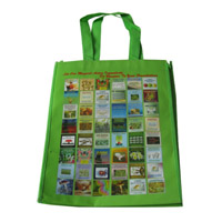 滨州LB11覆膜无纺布广告袋